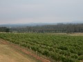 0102-1738 Hunter valley (1060930)